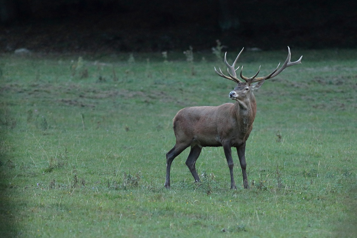 IMG_5625_2